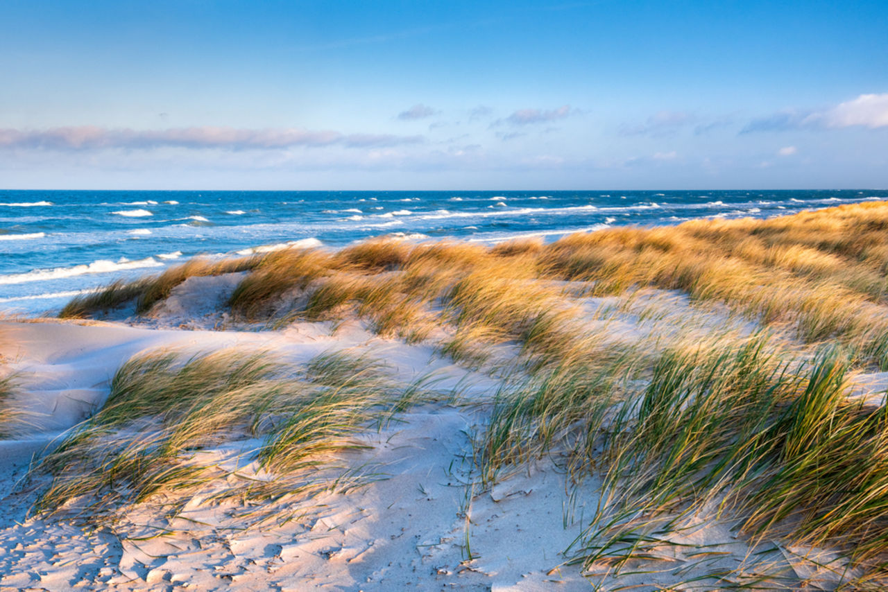 Strand an der Ostsee am frühen Morgen